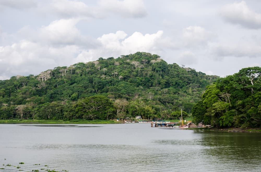 Forêt tropicale de Gamboa (Soberanía)